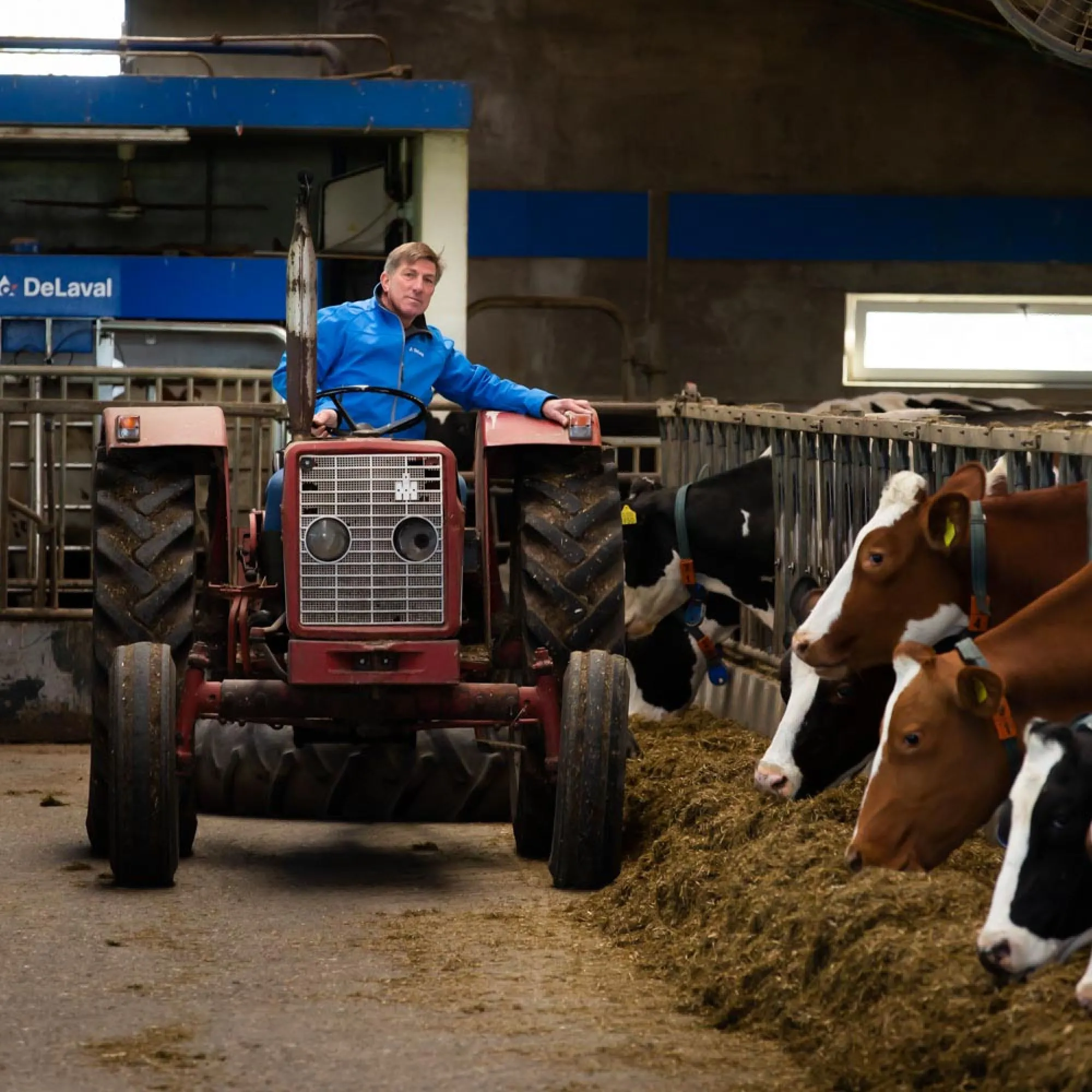 Met veel liefde en passie aandacht voor het vee en de omgeving - Familie Eggink