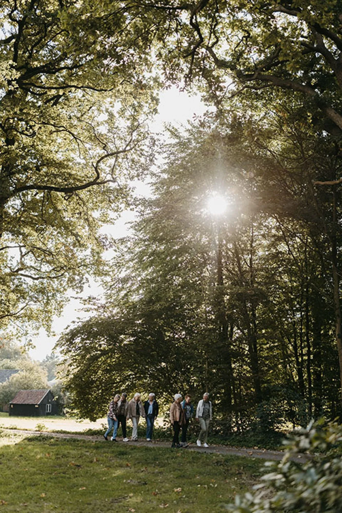 Een band voor het leven