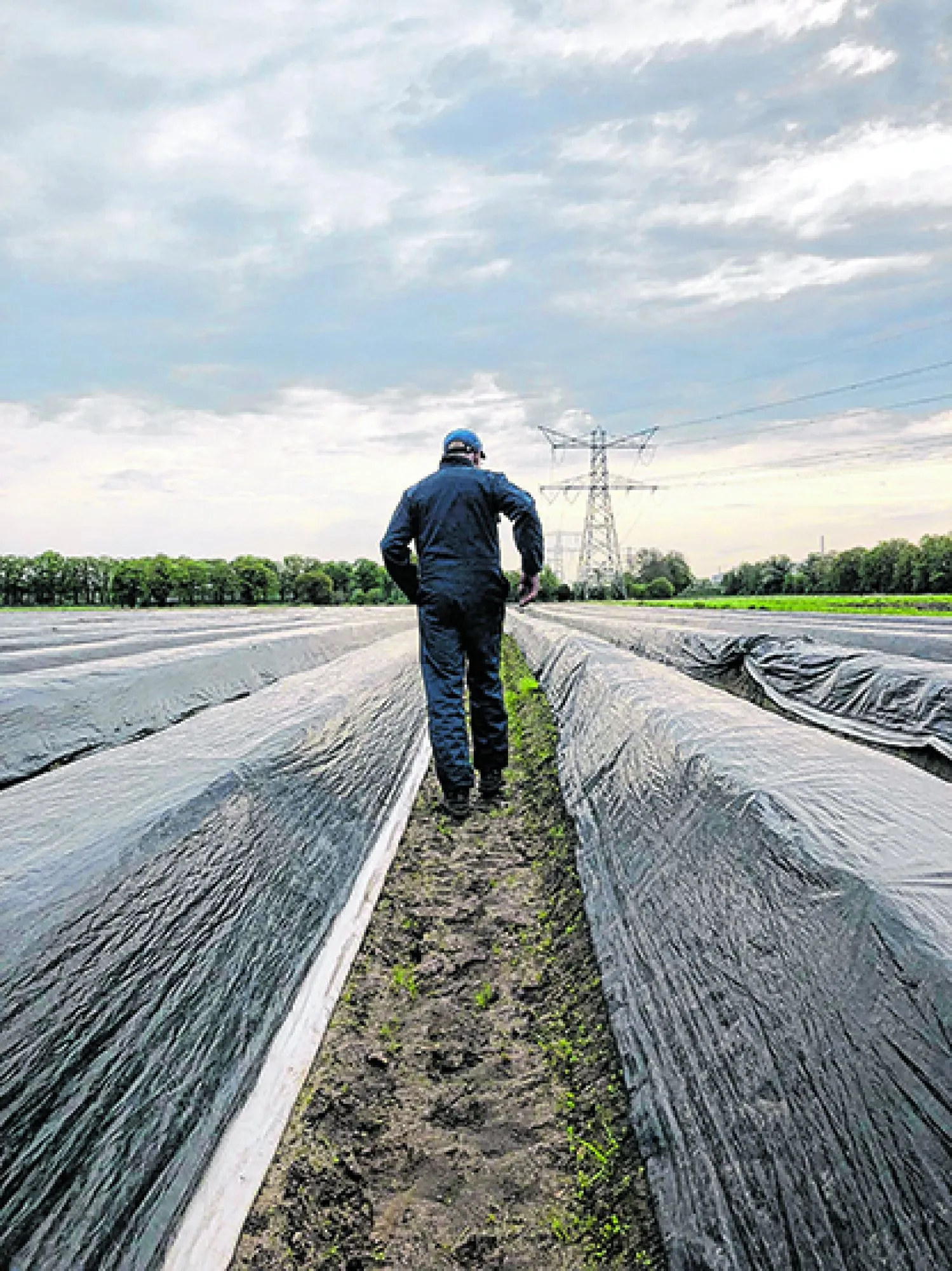 Wij liepen een dagje mee bij de aspergeboer