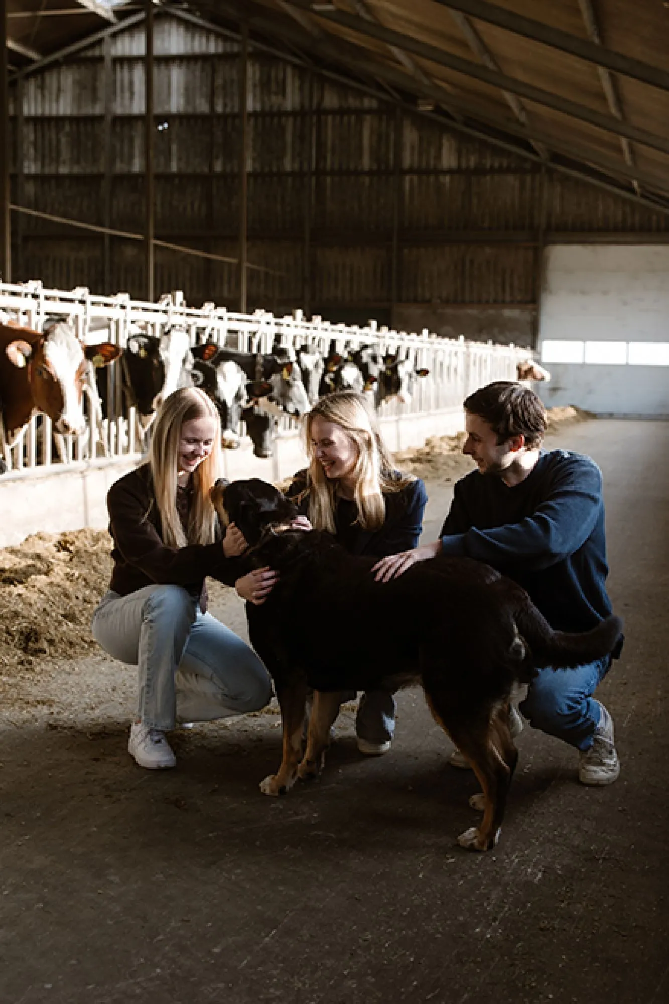 De boer op: Familie Langeler