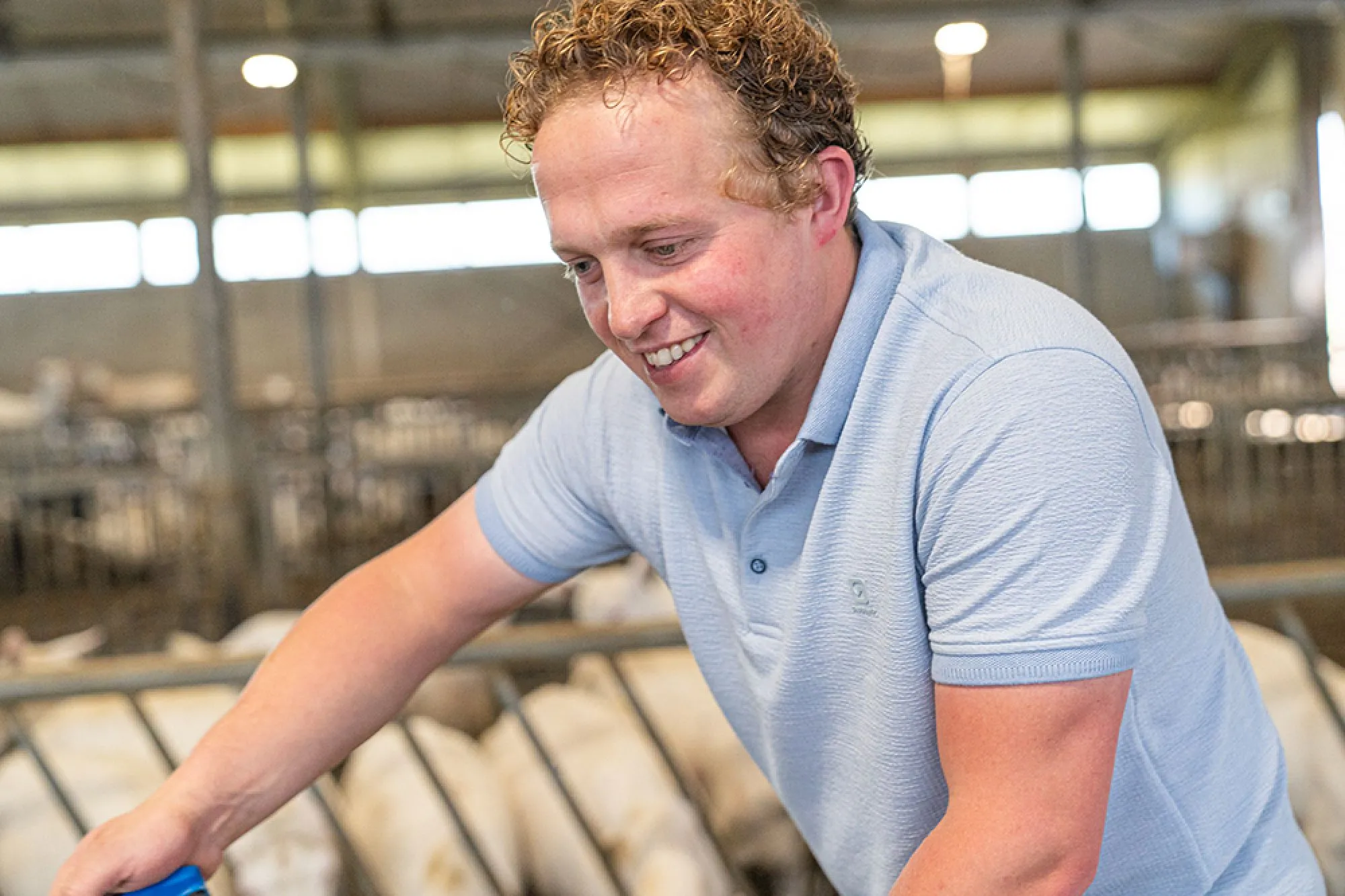 De Boer Op - Groot Roessink / Van den Noort