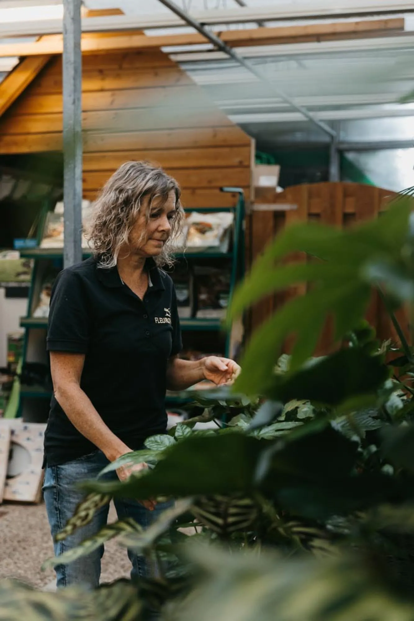 Een bijzondere mijlpaal voor Haneveld Laren