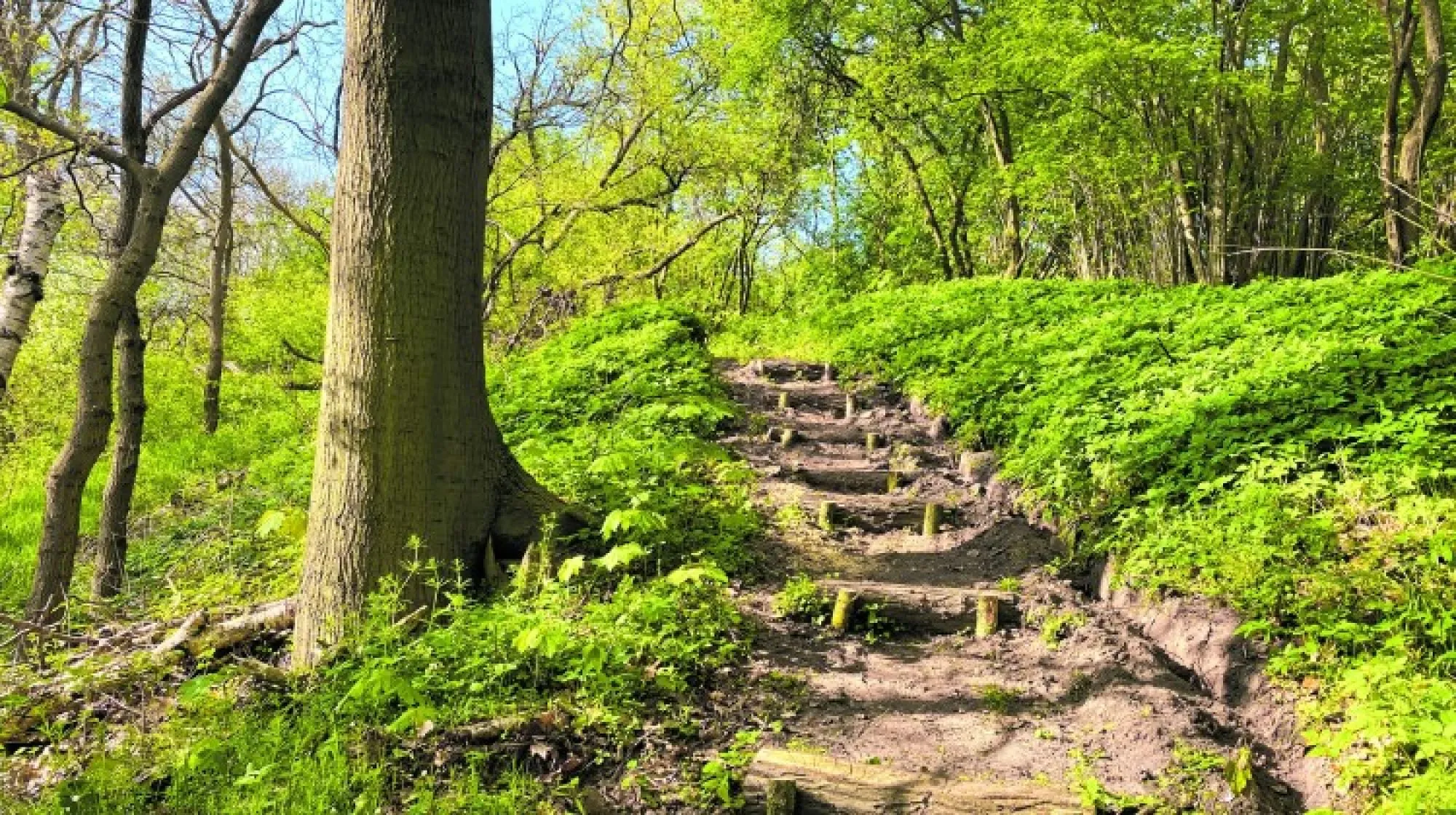 Ontdekkingstocht op klompen