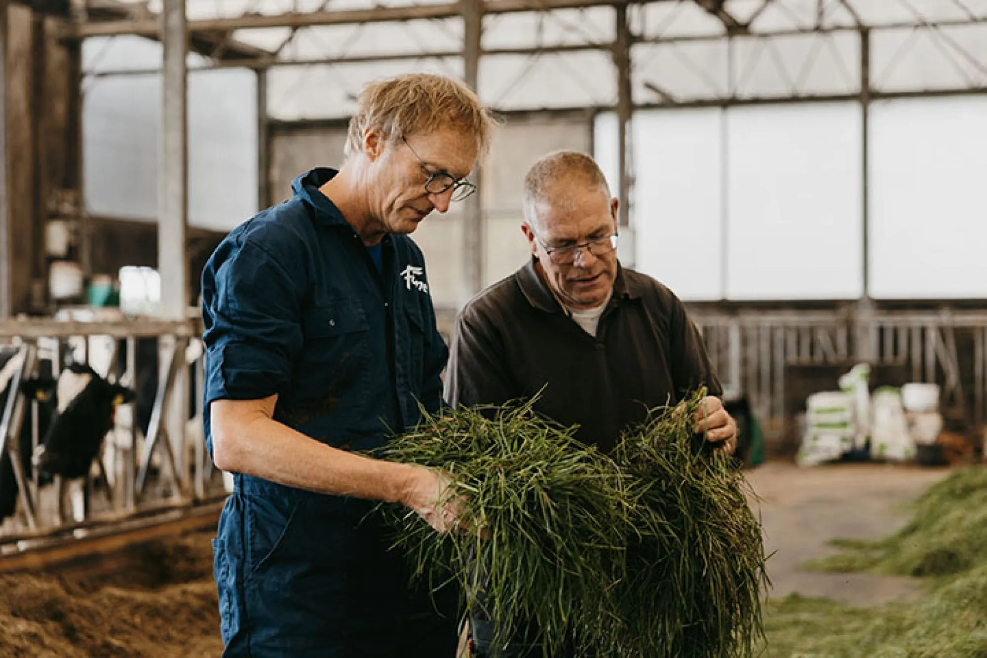 Ron van den Aakster gaat met pensioen en verlaat Dierenkliniek Laren