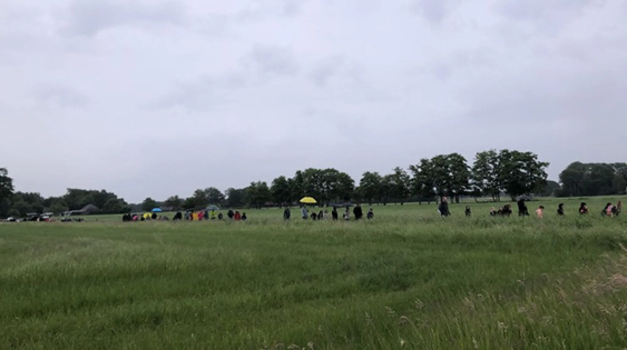 Nat maar geslaagde Avond4Daagse in Laren