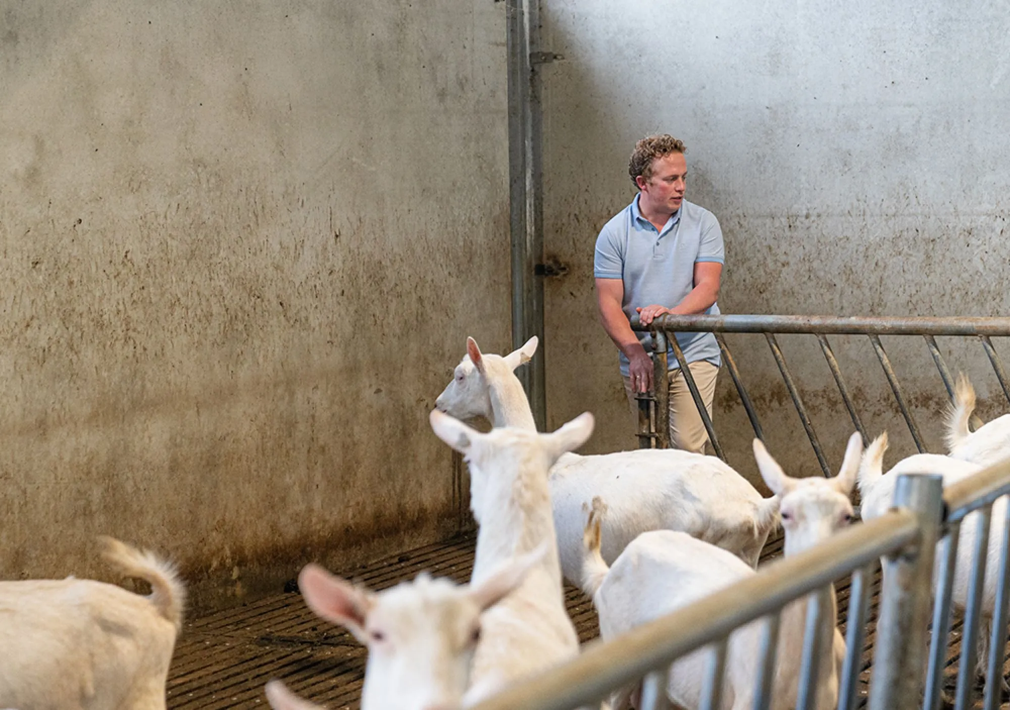 De Boer Op - Groot Roessink / Van den Noort