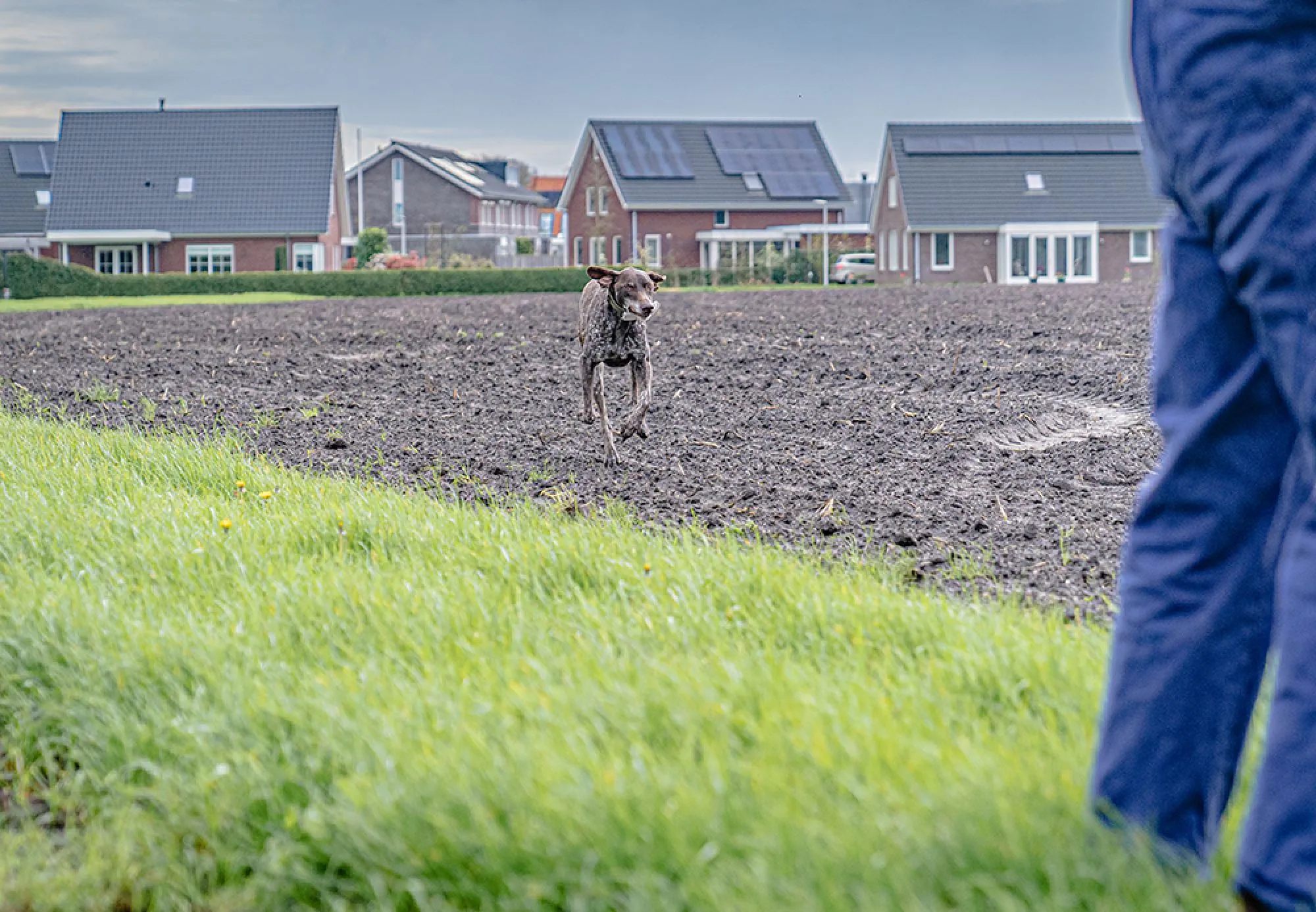 Historie en toekomst van een familiebedrijf!