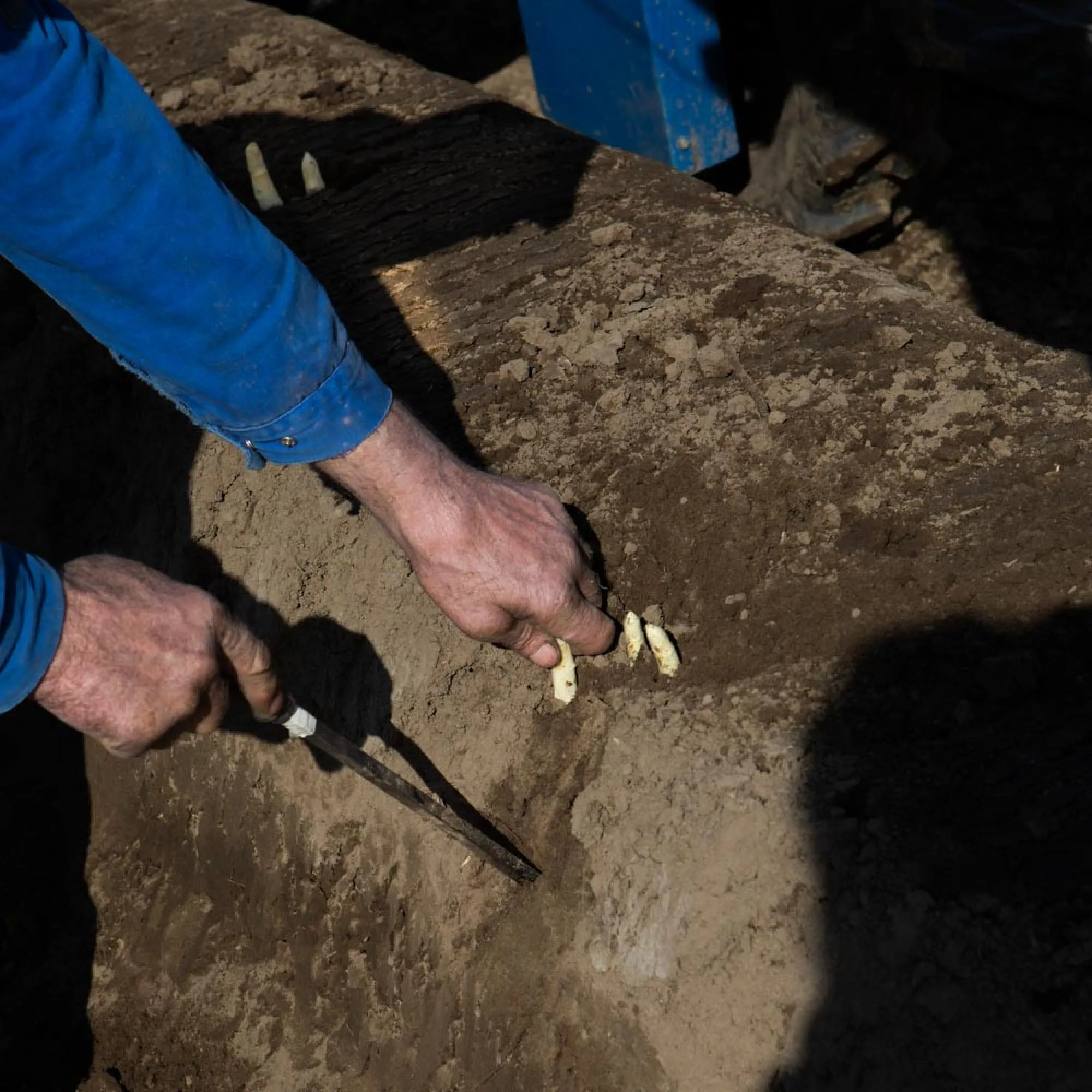 Van nieuwbouwhuis  naar oude boerderij  - familie ten Broeke