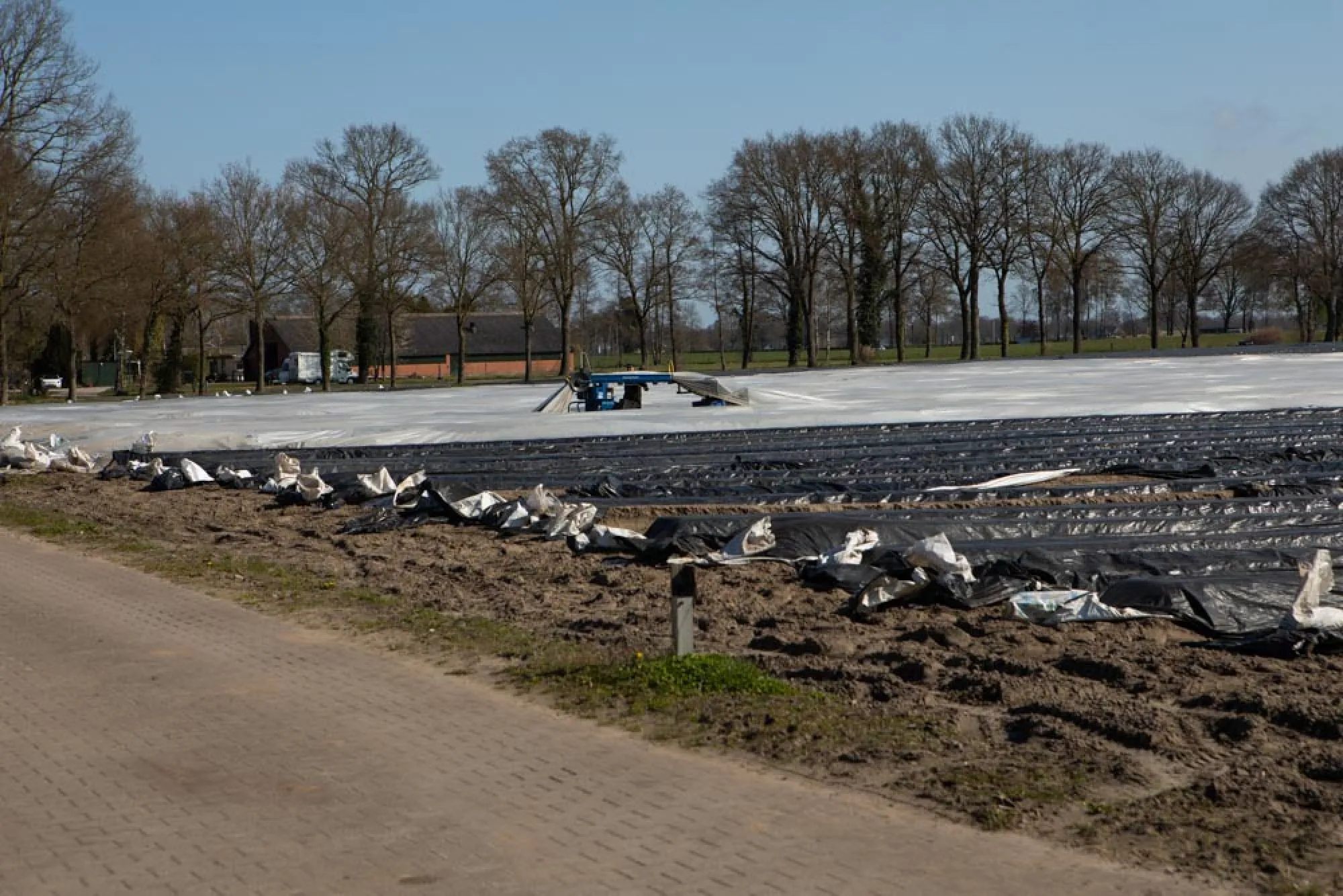 Van nieuwbouwhuis  naar oude boerderij  - familie ten Broeke